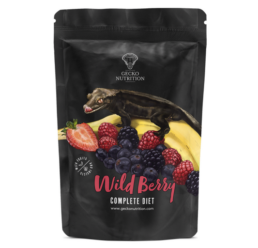 Gecko Nutrition Wild Berry 250g